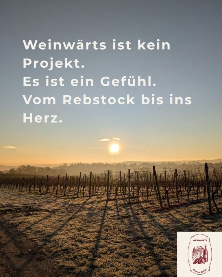 Struktur und Systeme für Weingüter