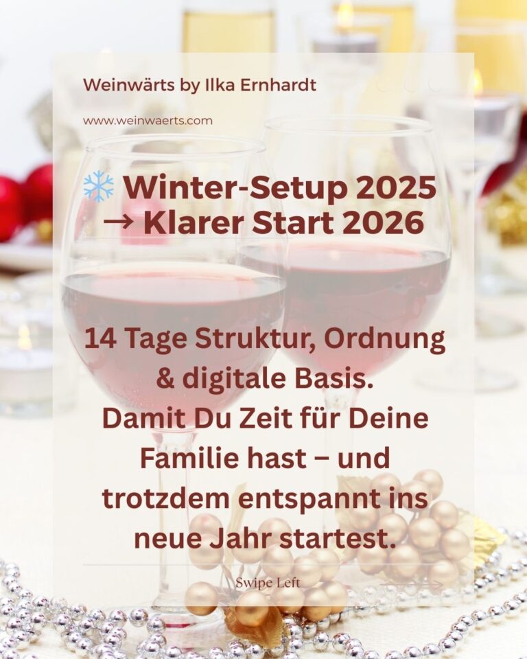Winter-Setup-Weingut